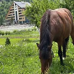 Bujtina Brahim Selimaj Bed & Breakfast Valbone