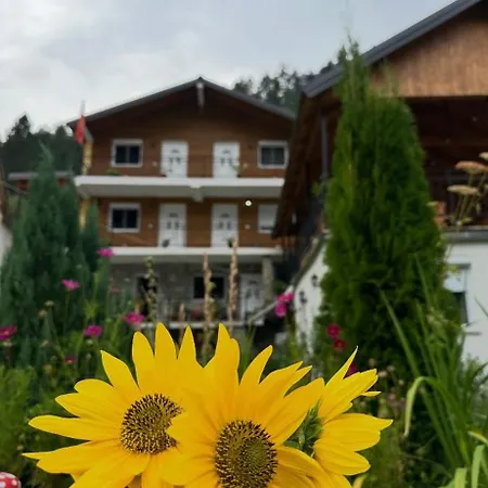 Bujtina Brahim Selimaj *