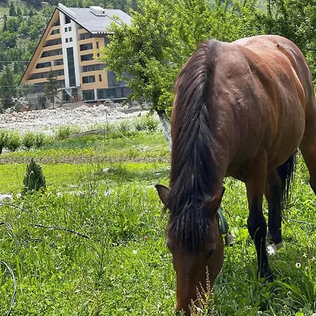 Bujtina Brahim Selimaj Bed & Breakfast Valbona