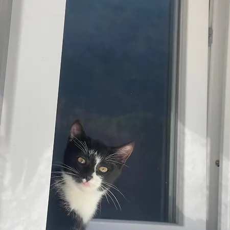 Bed & Breakfast Bujtina Brahim Selimaj