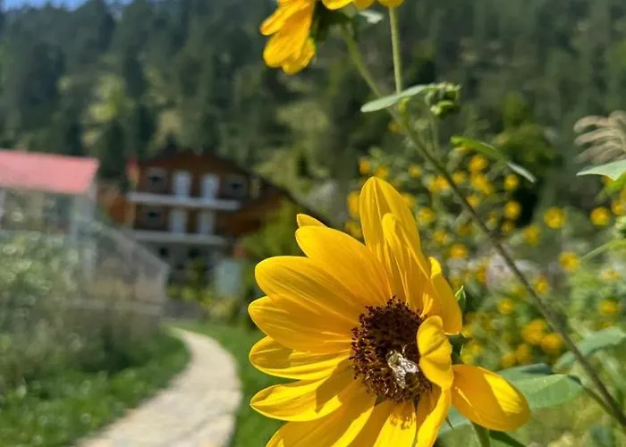 Bujtina Brahim Selimaj Bed & Breakfast *