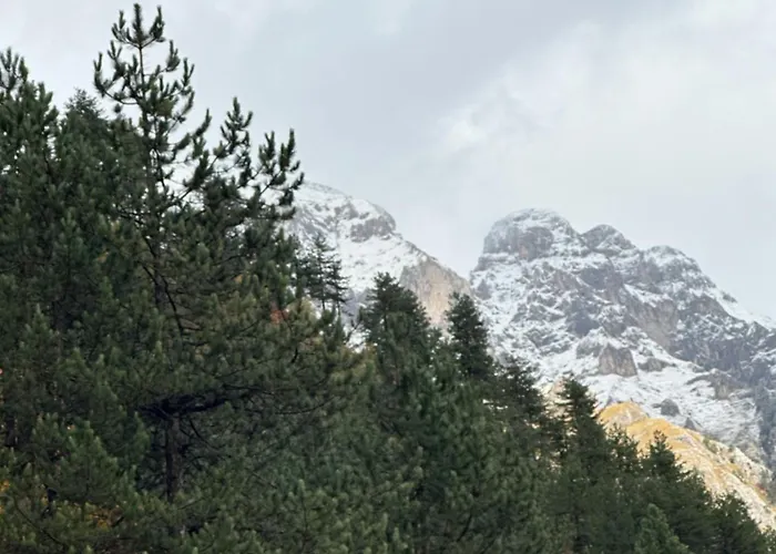 Bujtina Brahim Selimaj