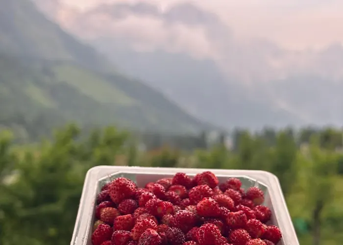 Bujtina Brahim Selimaj *