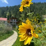 Bujtina Brahim Selimaj Bed & Breakfast *
