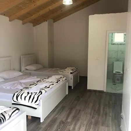 Bujtina Brahim Selimaj * Valbonne