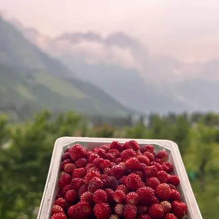 Bujtina Brahim Selimaj *