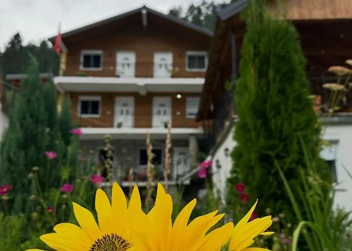 Bujtina Brahim Selimaj *