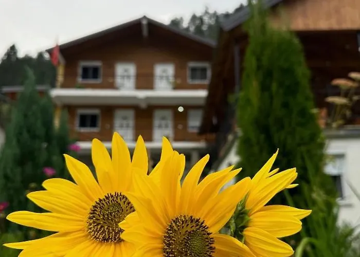 Bujtina Brahim Selimaj Bed & Breakfast