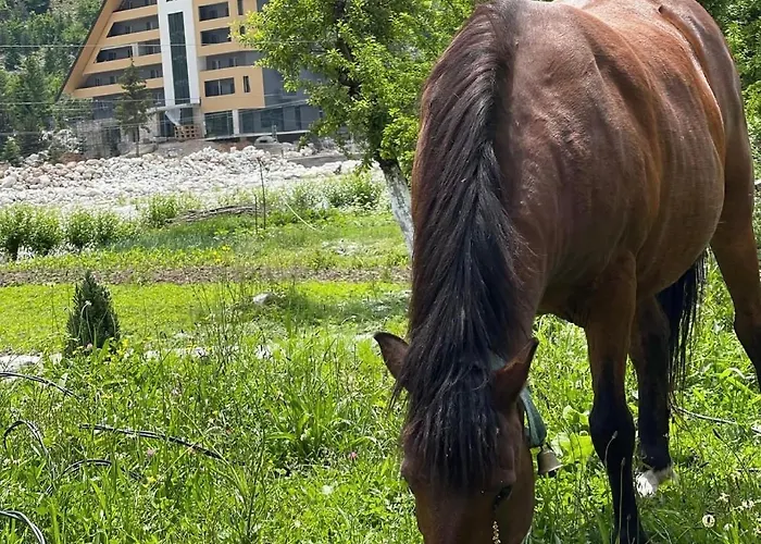 Bujtina Brahim Selimaj Bed & Breakfast Valbone